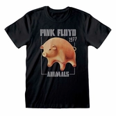 Pink floyd - animals