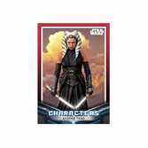 Star wars: the mandalorian cartes à collectionner starter pack