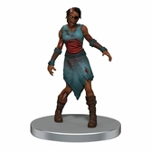 D&d icons of the realms miniatures prépeintes undead armies - zombies set