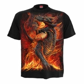 Spiral direct - dracons (unisex)