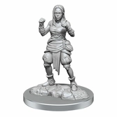 Pathfinder battles deep cuts pack 2 miniatures à peindre half-elf monk female (carton de 2)