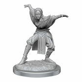 Pathfinder battles deep cuts pack 2 miniatures à peindre half-elf monk female (carton de 2)