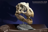 Wonders of the wild series statuette t-rex head skull 30 cm