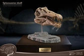 Wonders of the wild series statuette spinosaurus head skull 30 cm