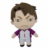 Haikyu!! peluche ushijima season 2 20 cm