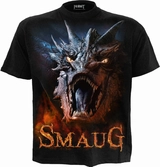 Spiral direct - the hobbit - smaug