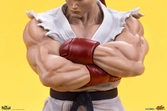 Street fighter statuettes pvc 1/10 ryu & dan 18 cm