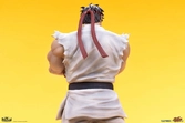 Street fighter statuettes pvc 1/10 ryu & dan 18 cm