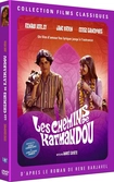 Les chemins de katmandou - DVD