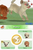 Nintendogs: Labrador and friends - DS