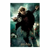 Harry potter - puzzle lenticulaire ron weasley au combat 300 pcs 46x31 cm