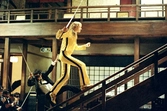 Kill Bill Vol. I et II : L'intégrale Édition Collector - DVD