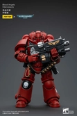 Warhammer 40k figurine 1/18 blood angels intercessors 12 cm