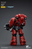Warhammer 40k figurine 1/18 blood angels intercessors 12 cm
