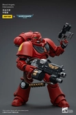 Warhammer 40k figurine 1/18 blood angels intercessors 12 cm