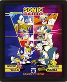 Sonic the hedgehog encadré poster effet 3d select your fighter 26 x 20 cm