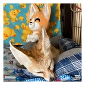 Youtooz original peluche fennec fox 22 cm