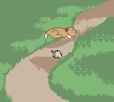 DOGZ - Game Boy Color