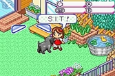 DOGZ - Game Boy Advance