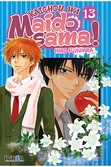 Kaichou wa maid-sama! 13 (comic)
