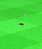 Tiger Woods PGA Tour 2004 - GameCube