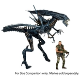 ALIENS Figurine Alien Queen Ultra Deluxe Neca