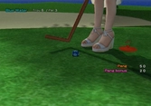 Pangya! Golf with Style - WII