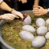 Jurassic park statuette 1/10 art scale dino hatching 23 cm