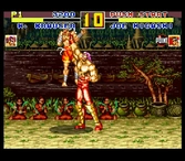 Fatal Fury Spécial - Game Gear