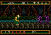 Splatterhouse 2 - Megadrive