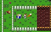 Conker's Pocket Tales - Game Boy Color