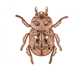 Mécanisme 3d en bois - scarabée - 16 pcs