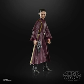 Star wars episode i black series figurine padmé amidala 15 cm