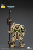 Warhammer 40k figurine 1/18 dark angels deathwing champion 12 cm