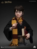Harry potter buste 1/1 harry 76 cm