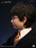 Harry potter buste 1/1 harry 76 cm