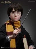 Harry potter buste 1/1 harry 76 cm