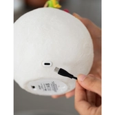 Le petit prince - lune - lampe décorative - 19cm