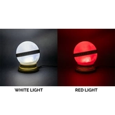 Harry potter - rapeltout - lampe décorative - 11cm