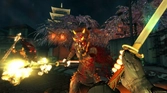 Shadow Warrior - PS4