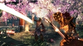 Shadow Warrior - PS4