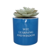 Harry potter - serdaigle - faux pot à plantes 6.5cm