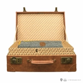 Les animaux fantastiques réplique 1/1 valise de norbert dragonneau limited edition