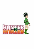 Hunter x hunter logo gon version lampara led 22x15 cm hunter x hunter