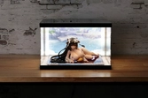 Azur lane présentoir vitrine acrylique avec éclairage pour figurine kashino hot springs relaxation