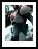 Impression Collector Destiny 2 Titan - 30X40