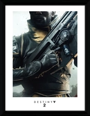 Impression Collector Destiny 2 Warlock - 30X40