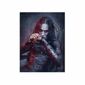 The crow puzzle (500 pièces)