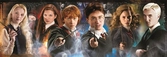 Harry potter - puzzle panorama 1000p