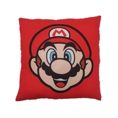 Coussin mario et luigi 40x40cm